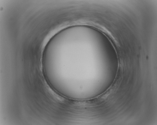 X0000074311512200609081929