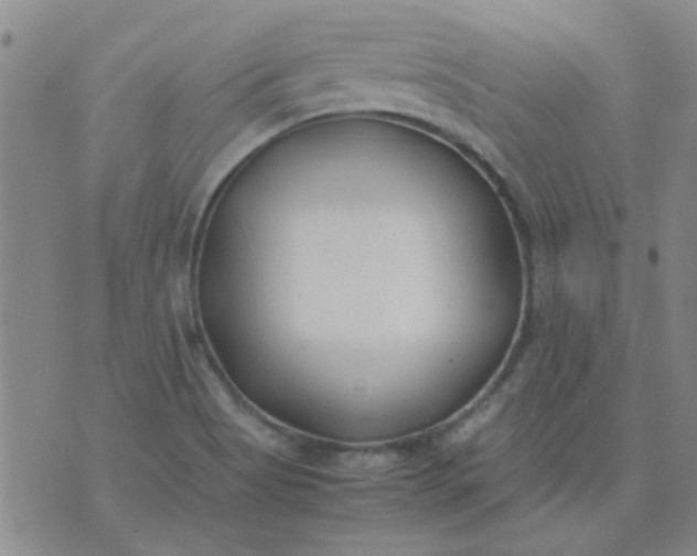 X0000074311513200609081929