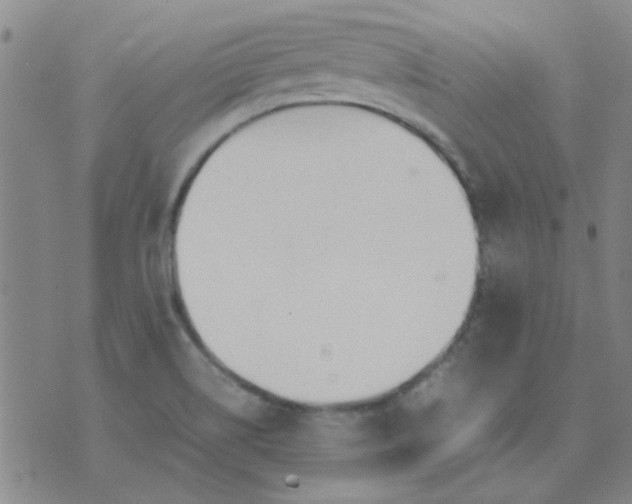 X0000074311514200609081929