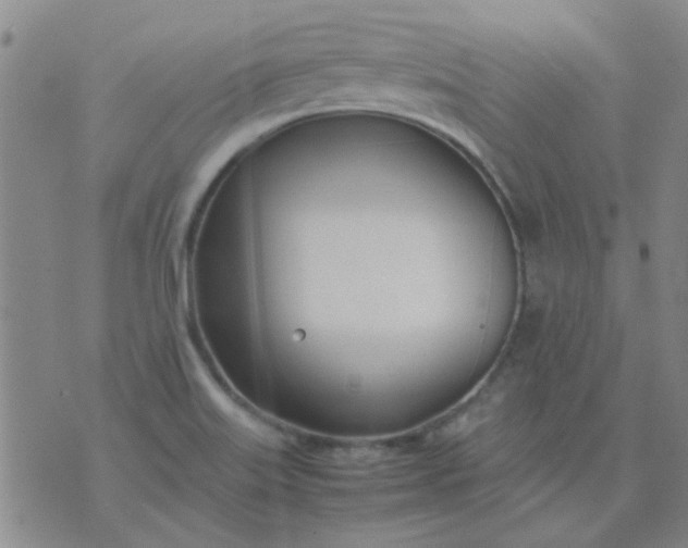 X0000074311515200609081929