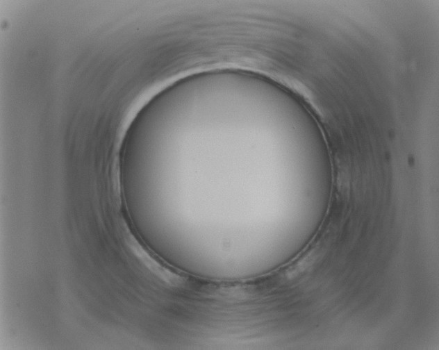 X0000074311516200609081929