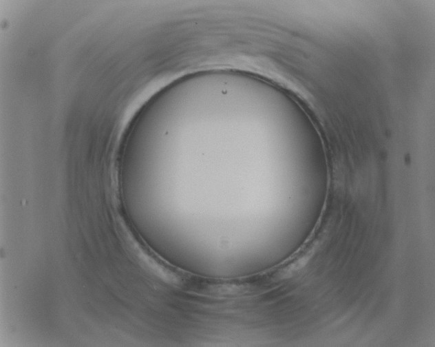 X0000074311517200609081929