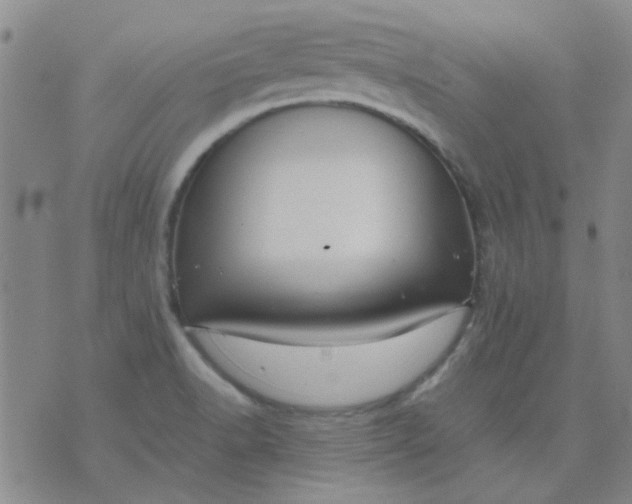 X0000074311518200609081929