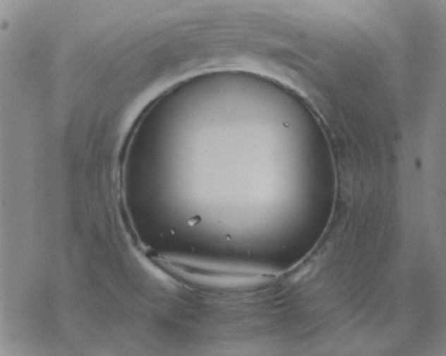 X0000074311519200609081929