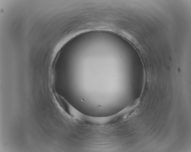 X0000074311520200609081929