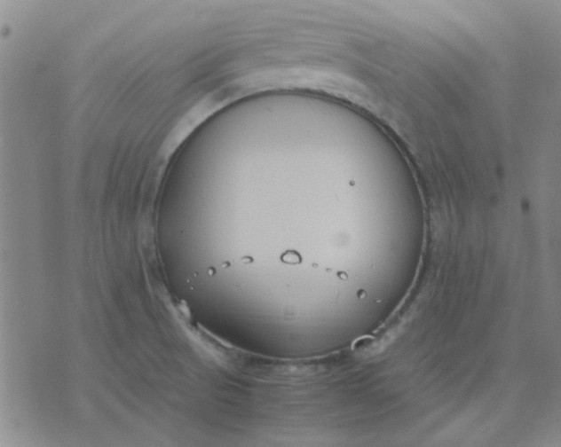 X0000074311521200609081929