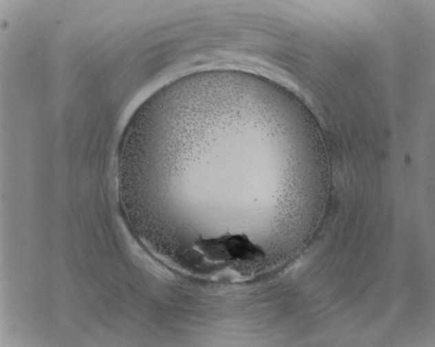 X0000074311522200609081929