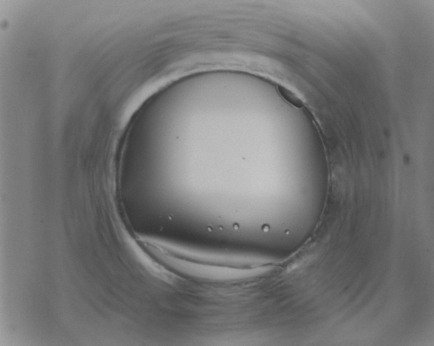 X0000074311523200609081929