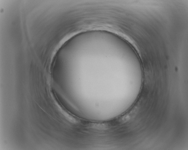 X0000074311525200609081929