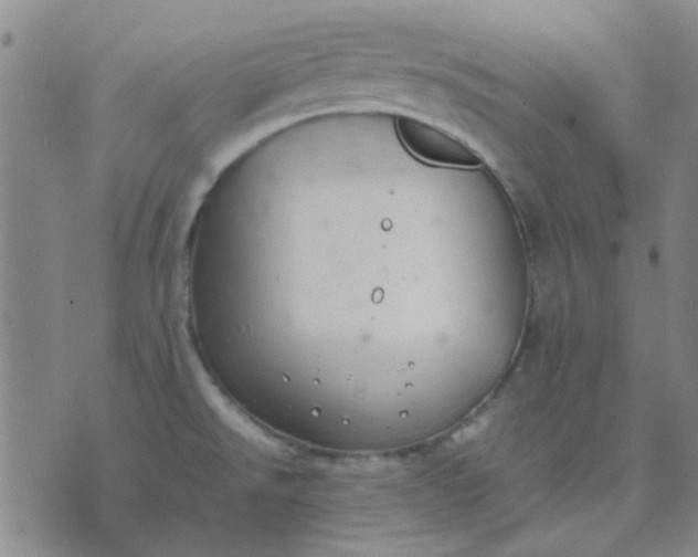 X0000074311526200609081929