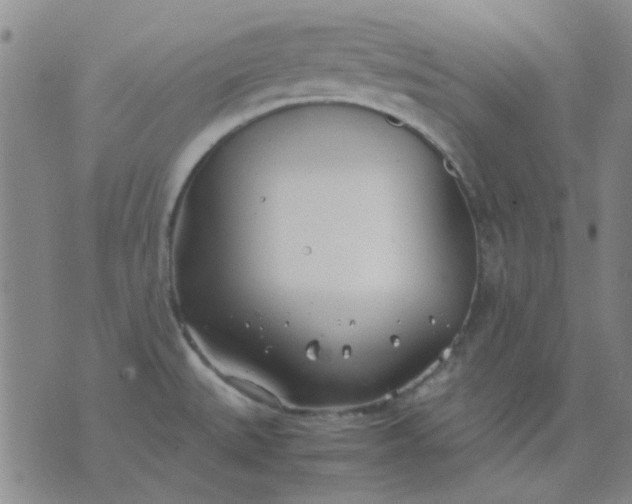 X0000074311527200609081929