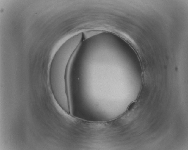 X0000074311528200609081929