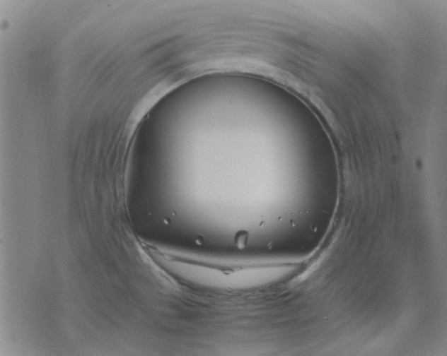 X0000074311529200609081929