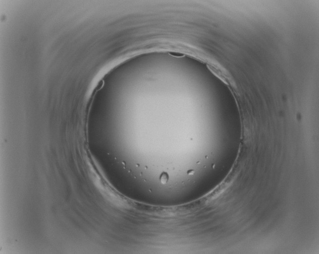 X0000074311530200609081929