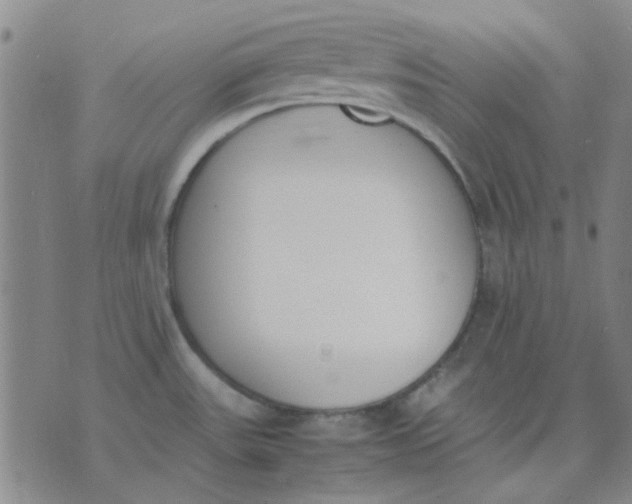 X0000074311531200609081929