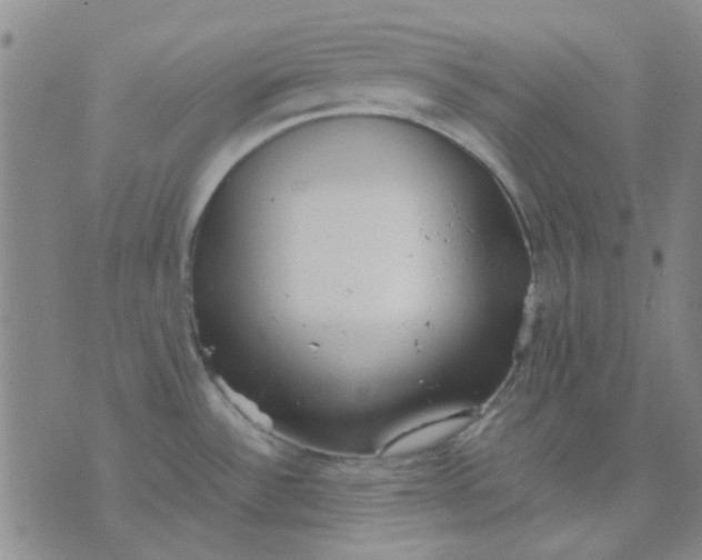 X0000074311532200609081929