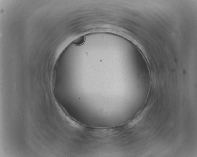 X0000074311533200609081929