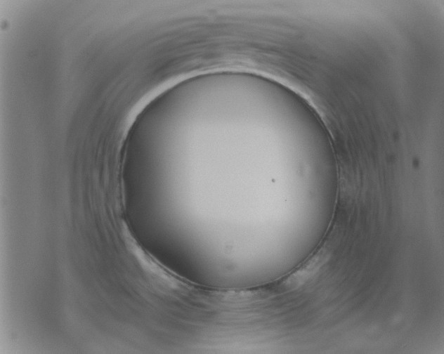 X0000074311534200609081929