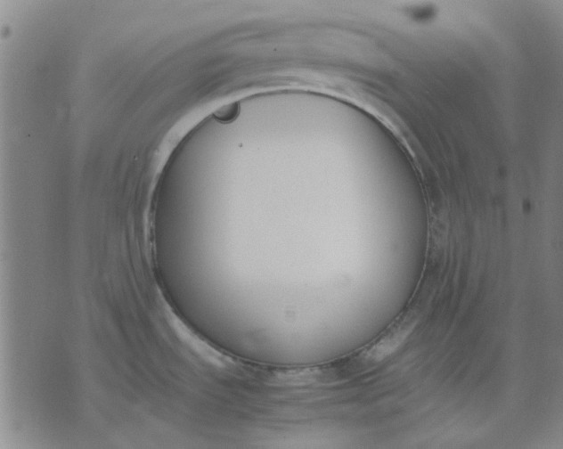 X0000074311535200609081929