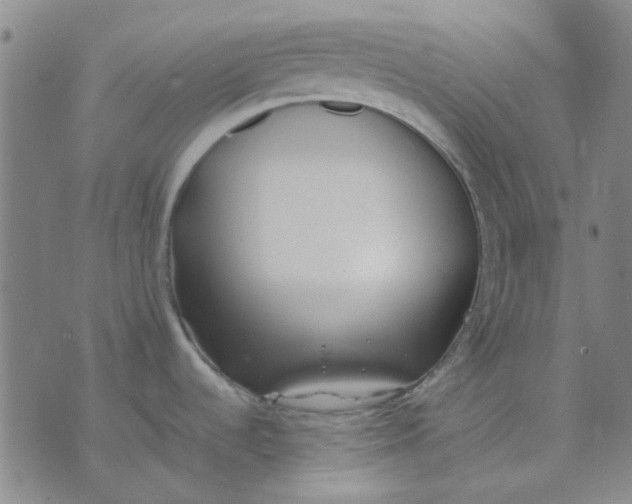 X0000074311536200609081930