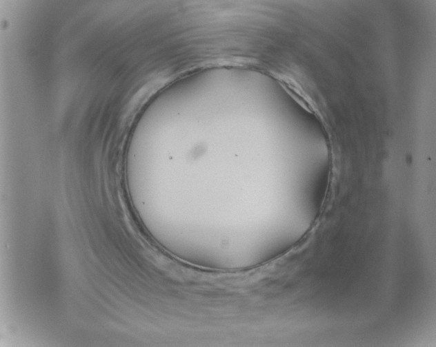 X0000074310001200609152018