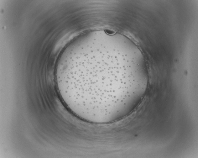 X0000074310002200609152018