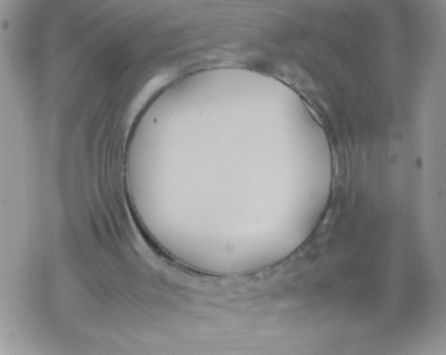 X0000074310003200609152018