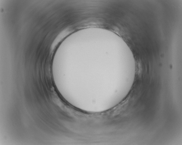 X0000074310004200609152018