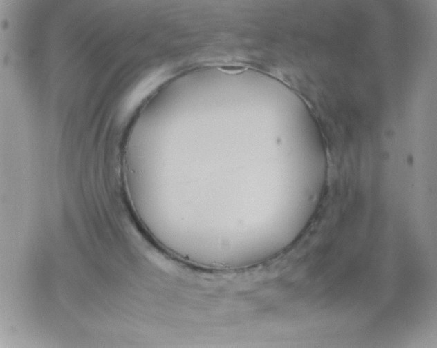 X0000074310005200609152018