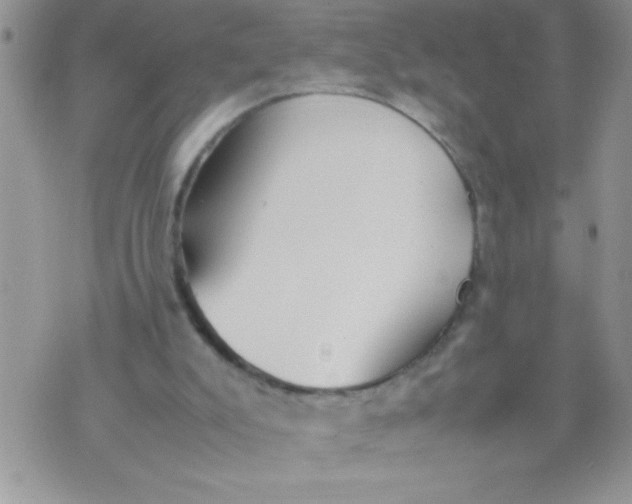 X0000074310007200609152018