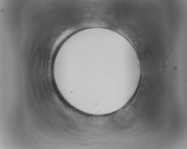 X0000074310008200609152018