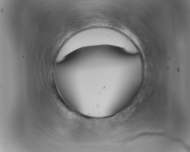 X0000074310009200609152018