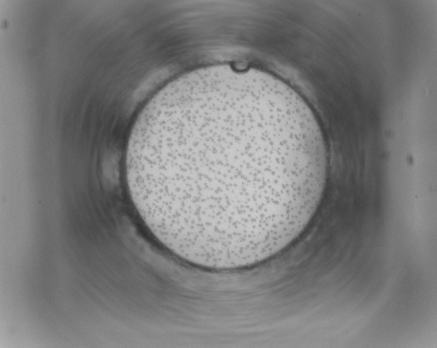 X0000074310010200609152018