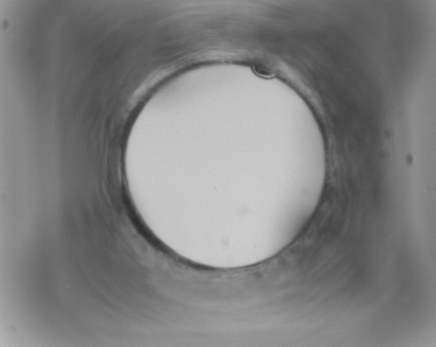 X0000074310011200609152018