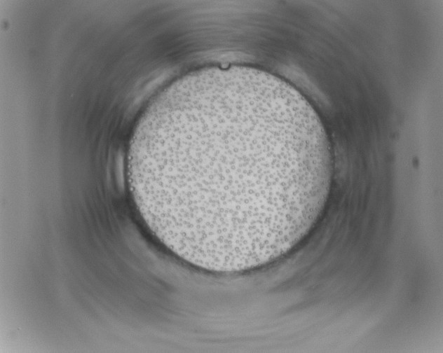 X0000074310014200609152018