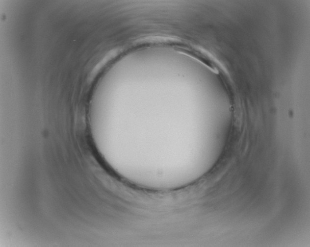 X0000074310015200609152018