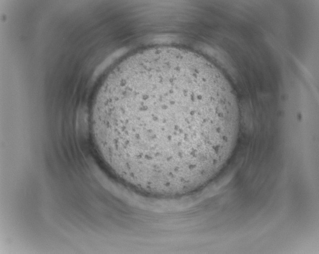 X0000074310016200609152018