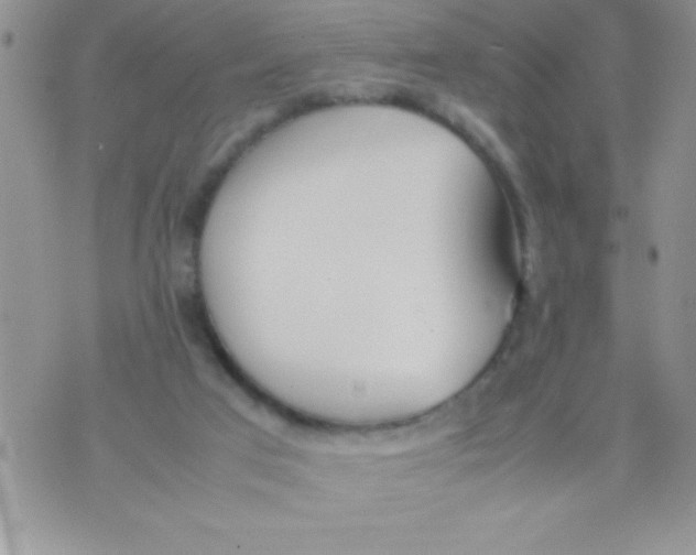 X0000074310017200609152018