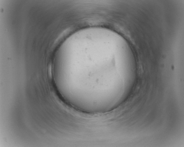 X0000074310019200609152018