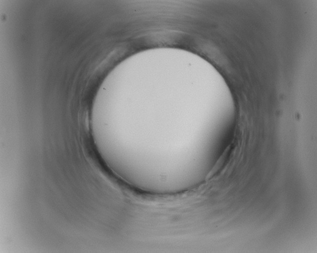 X0000074310021200609152018