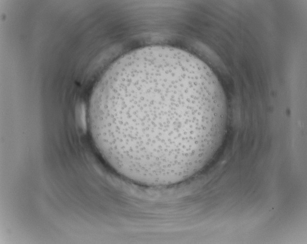 X0000074310022200609152018