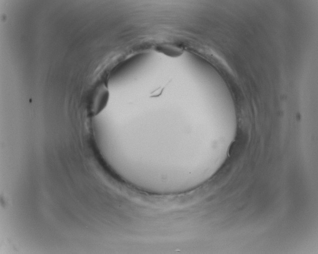 X0000074310023200609152018