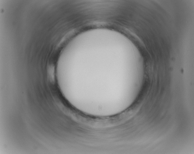 X0000074310024200609152018