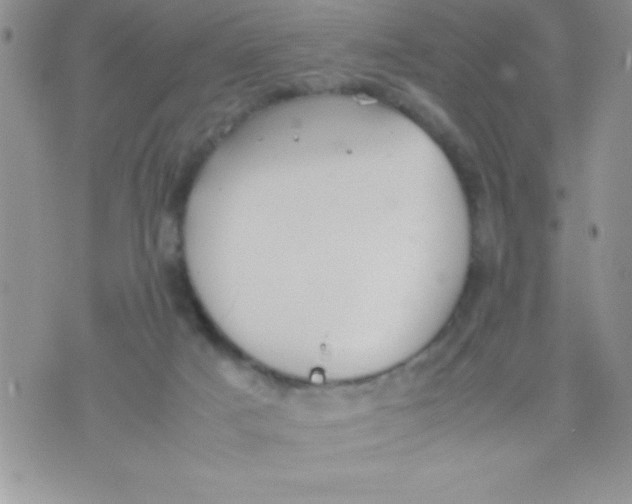 X0000074310025200609152018