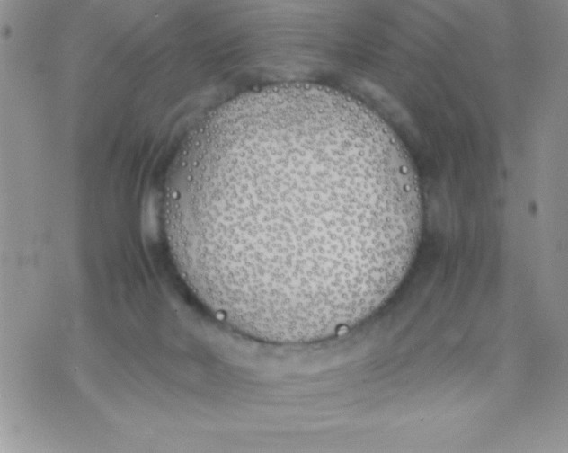 X0000074310026200609152018