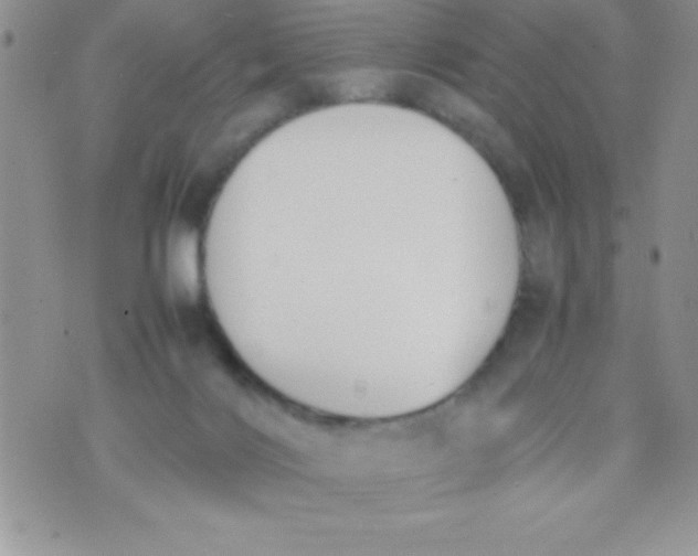 X0000074310028200609152018