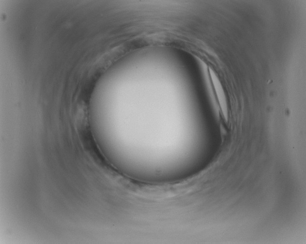 X0000074310029200609152018