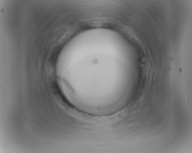 X0000074310031200609152018