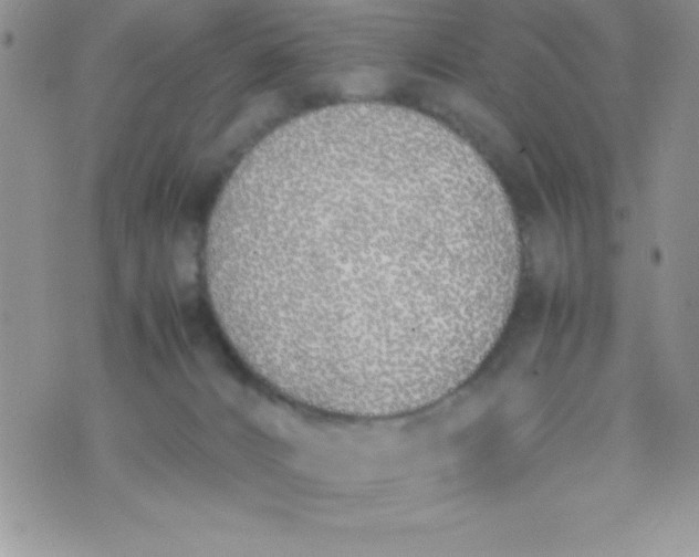 X0000074310032200609152018