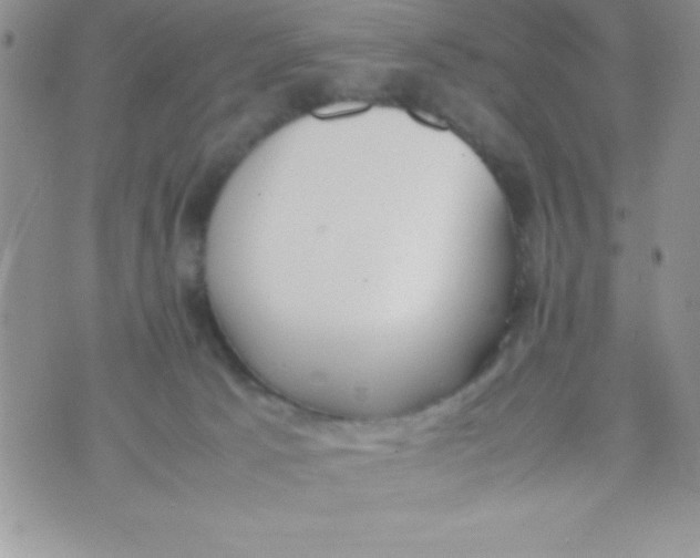 X0000074310033200609152018